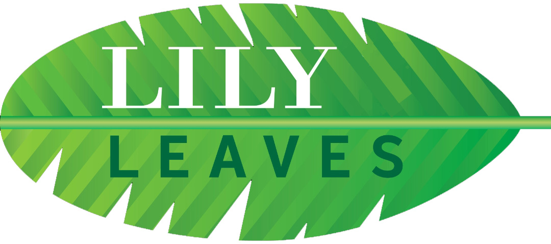 Greening Nepal's urban areas through the Miyawaki method - lily leaves social enterprise