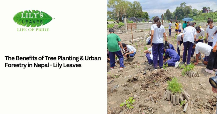 Benefits of Tree Planting & Urban Forestry in Nepal 