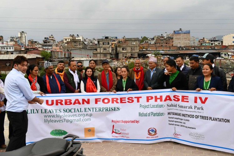 Urban Forest Phase -IV
