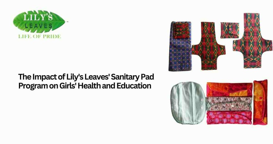 Impact of Lily's Leaves' Sanitary Pad Program